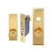 Exterior Mortise Lock Plate W/ Cyl. Hole 2 3/4" x 10"