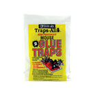 Rat & Mouse Glue Traps 3.5" X 5" 24/2PK
