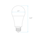A21 LED Bulb dimensions