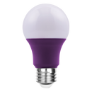 A19 8W Purple LED Bulb
