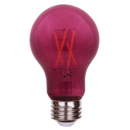 A19 4.5W Purple Filament