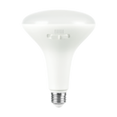 BR40 LED Flood Bulb – LR31629