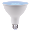PAR38 8W Blue LED Bulb