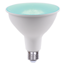 PAR38 8W Green LED Bulb
