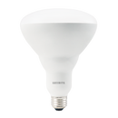 BR40 13W LED Bulb