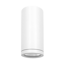 2.5" Cylinder System - 5 CCT Selectable Dual Dimming/Universal Voltage
