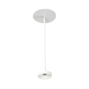 2.5" Cylinder System - Surface Mount 1' Cable